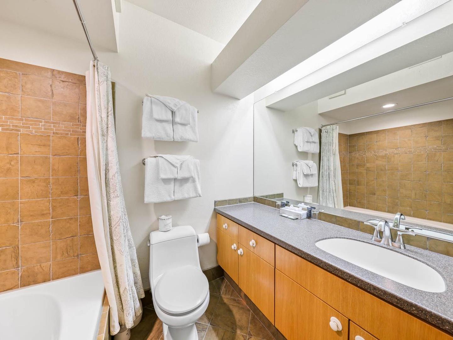 Palisades Tahoe Lodge Bathroom Palisades Tahoe Lodge Bathroom