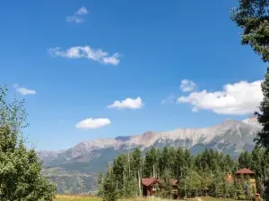 …